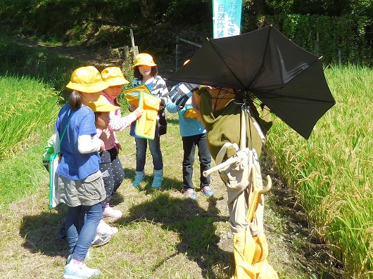 体験の森で環境教室を開催！岩津小学校３年生１０２人が参加☆