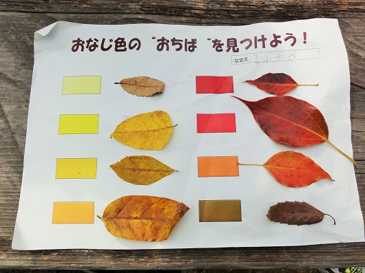 テーマ「秋を見つけよう！」宮崎小学校２年生が来園