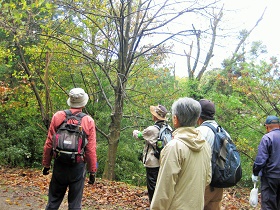 秋雨に煙る「紅葉を楽しむ」森の自然観察会開催レポート！