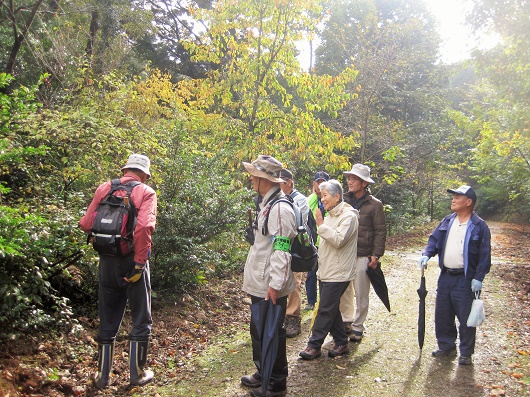 秋雨に煙る「紅葉を楽しむ」森の自然観察会開催レポート！