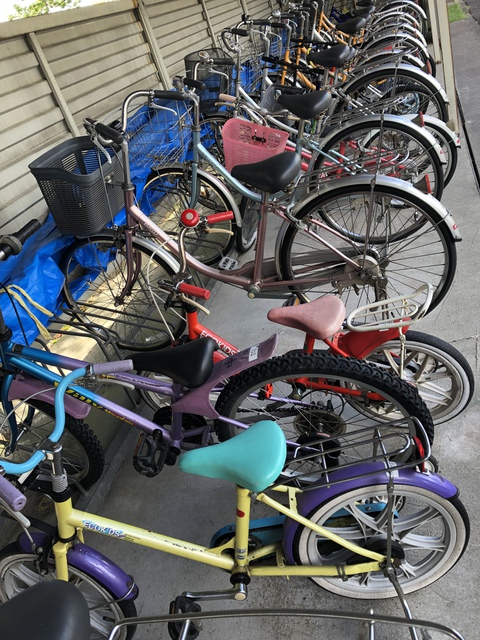 無料 自転車レンタル 〜親子で川沿いをサイクリング〜  森のようちえ 