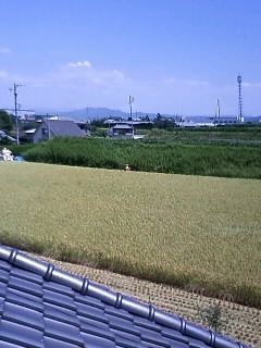 晴天なり～♪