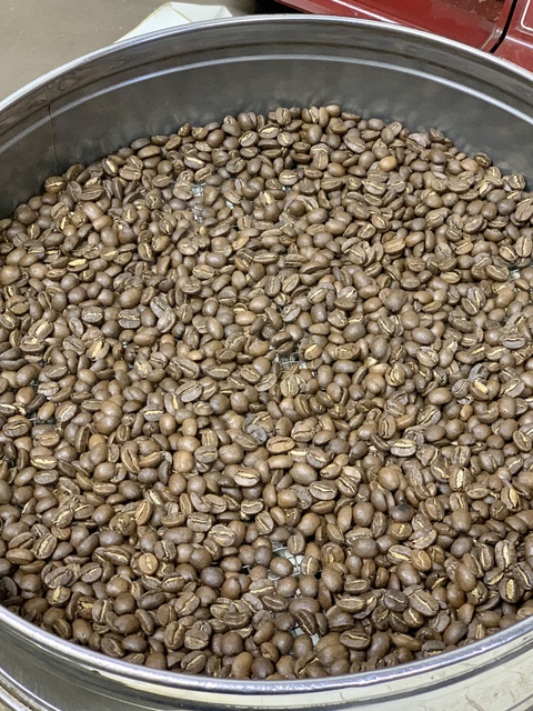 ブルーマウンテンNo.1を焙煎しました☕ ブルーマウンテンNo.1を焙煎しました☕