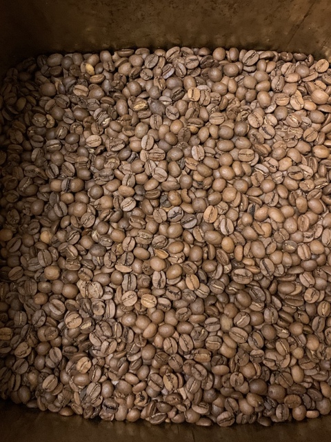 本日焙煎のコーヒー豆です☕