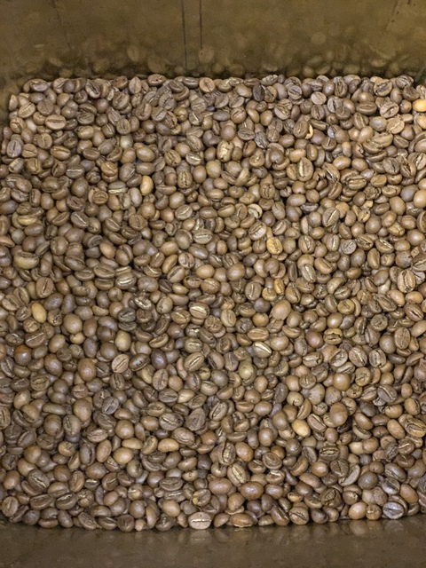 本日焙煎のコーヒー豆です☕/コーヒースタンプ2倍実施中☆ 本日焙煎のコーヒー豆です☕/コーヒースタンプ2倍実施中☆