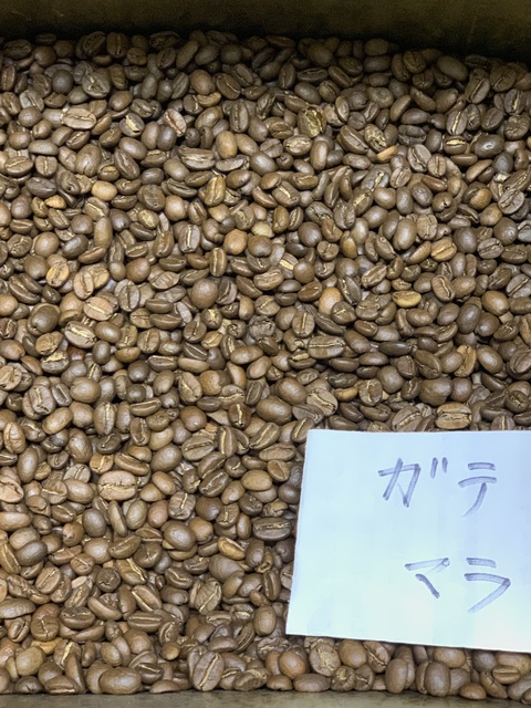 コーヒースタンプ2倍実施中(^^)v/本日焙煎のコーヒー豆 コーヒースタンプ2倍実施中(^^)v/本日焙煎のコーヒー豆