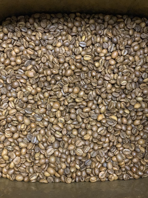 本日焙煎のコーヒー豆です☕