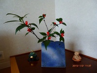 １月の花とちいさいおともだち 2015/01/22 20:33:36