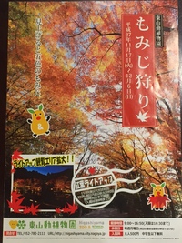 東山動植物園の紅葉ライトアップ 2015/11/20 23:22:17