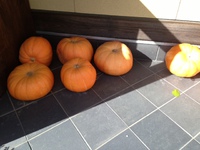 ティア佳織の店のハローウィン 2014/10/06 14:46:36