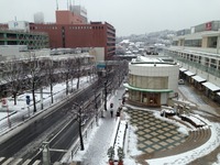 雪にも負けず 2014/02/14 11:40:33