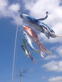 屋根より高い♪ 2015/04/11 11:56:55