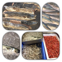 佳織の店、今日の出会いのお魚さん 2015/06/18 09:56:09