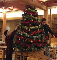 クリスマスツリー(*^_^*) 2015/12/08 09:47:48