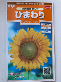 大輪の花 2020/05/28 21:59:00