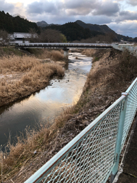 タクティール®︎ケア と大切な友 2020/02/09 23:11:13