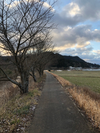 秋の奈良路　 2020/11/05 21:58:11