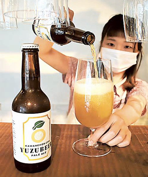 果汁たっぷり、ゆずビール　川根本町の特産品活用