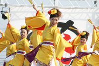 犬山踊芸祭1
