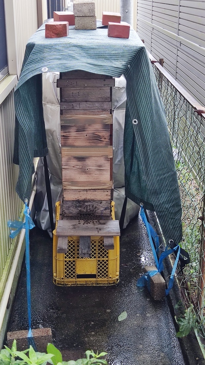 当店の日本ミツバチの巣箱