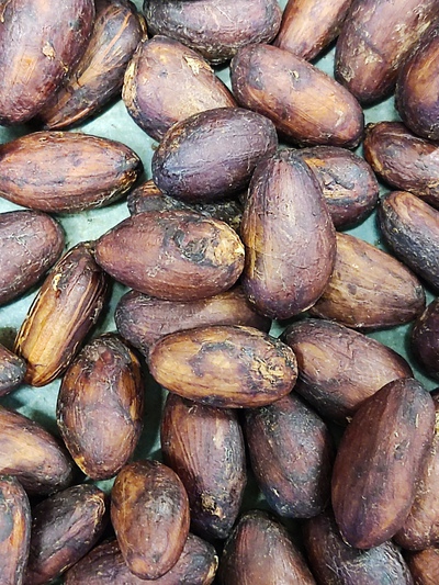 ベトナムのカカオ豆から作るチョコ(bean to ber チョコレート）