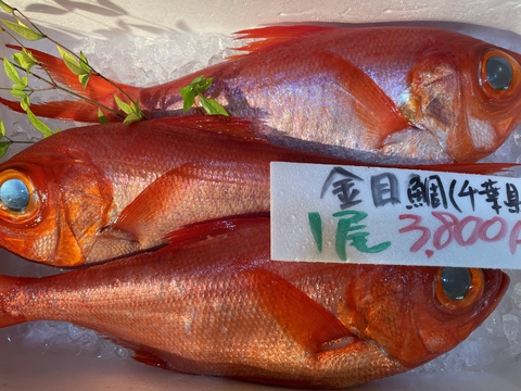 よしえび、特上きんめだい、北海道産いわし入荷致しました。元松坂屋岡崎店鮮魚部店長の仕入れた本日のお魚|魚正