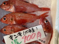北海道産きんき入荷致しました。元松坂屋岡崎店鮮魚部店長の仕入れた本日のお魚