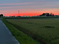 綺麗な夕焼け 2021/05/11 19:09:01