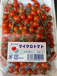 初めて見たマイクロトマト 2021/02/08 15:03:20