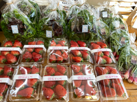 本日木曜日　山田農園さんのお野菜ありますよ〜❣️ 2021/02/25 15:07:07