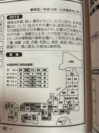 4種のきぬむすめ　お米 2021/04/21 18:27:45