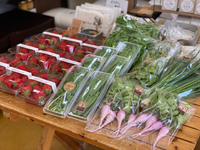 本日山田農園のお野菜入荷していま〜す。 2021/05/06 11:53:02