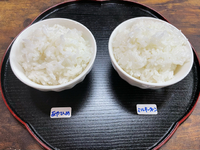 炊き比べ　長野県産ミルキークイーンと北海道あやひめ 2021/03/25 19:22:28
