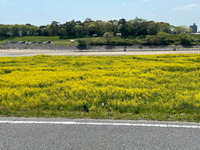 すぐ近くの絶景(笑) 2021/04/12 19:38:02