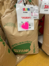 新品種　つきあかり 2021/01/22 14:06:10