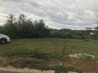 草の伸び早っ‼ 2021/08/31 22:36:38