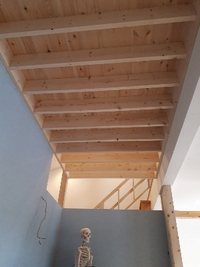 よ〰️できてるのぅ〰️ 2019/03/04 11:56:25
