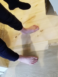 本物は、どちら？ 2019/08/04 17:32:44