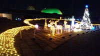 メリークリスマス♪ 2017/12/24 23:20:53