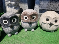 頼もしい助っ人が 2021/06/15 11:51:47