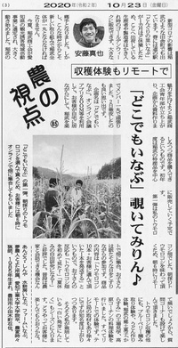 矢作新報に水耕房いなぶが掲載されました。