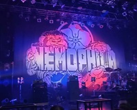 NEMOPHILA　ライブ！